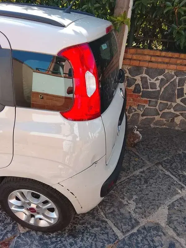 Usata Fiat Panda Easy 86 CV (63 kW) 2017 Utilitaria