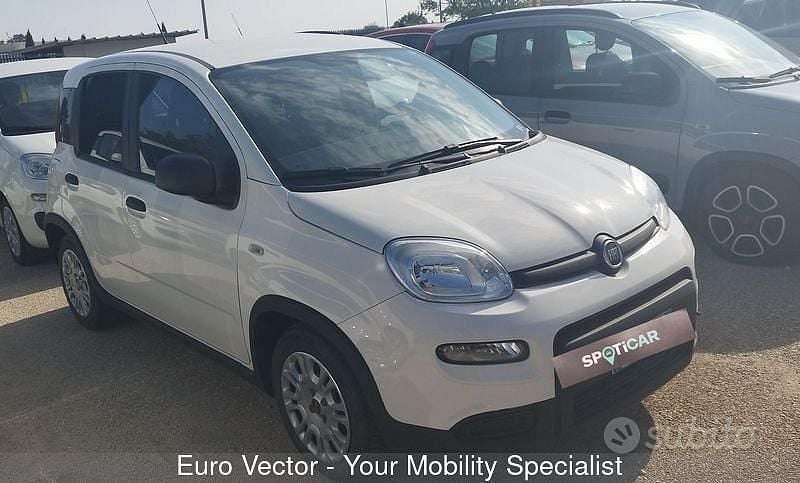 Occasion Fiat Panda S 70 ch (51 kW) 2023 Citadine