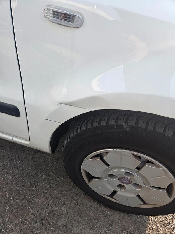 Usata Fiat Panda Active 54 CV (39 kW) 2009 Bianco Berlina