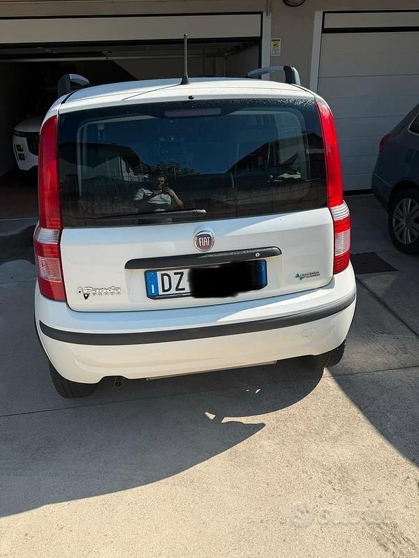 Usata Fiat Panda 77 CV (56 kW) 2009 Utilitaria