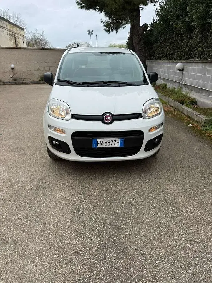 Usata Fiat Panda Easy 80 CV (58 kW) 2019 Utilitaria