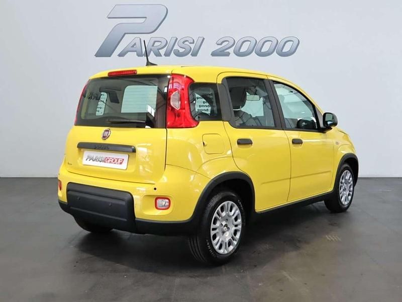 Nuova Fiat Panda S 69 CV (50 kW) 2025 Giallo Utilitaria