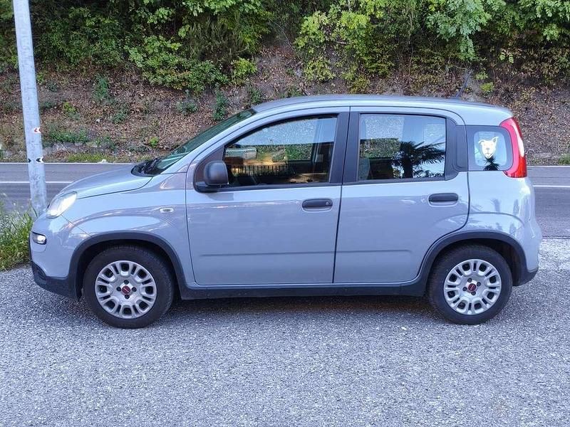 Usata Fiat Panda S 69 CV (50 kW) 2022 Grigio Utilitaria
