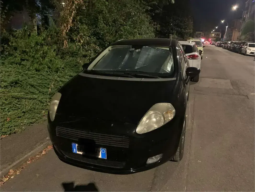 Usata Fiat Punto Evo 75 CV (55 kW) 2006 Utilitaria