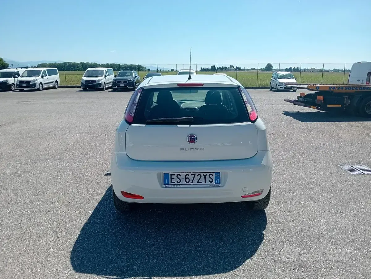 Usata Fiat Punto 75 CV (55 kW) 2013 Bianco Utilitaria