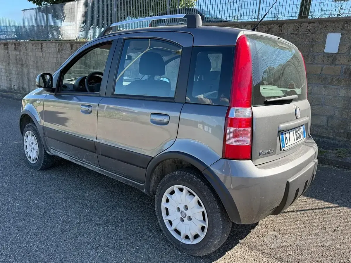 Usata Fiat Panda 4x4 60 CV (44 kW) 2009 Grigio Utilitaria