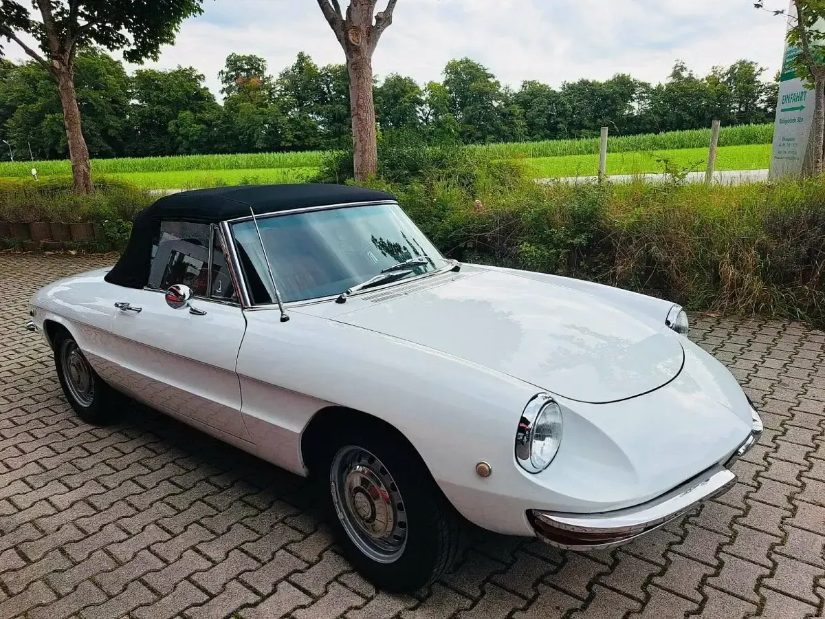 Usata Alfa Romeo Spider 118 CV (86 kW) 1969 Bianco Cabrio