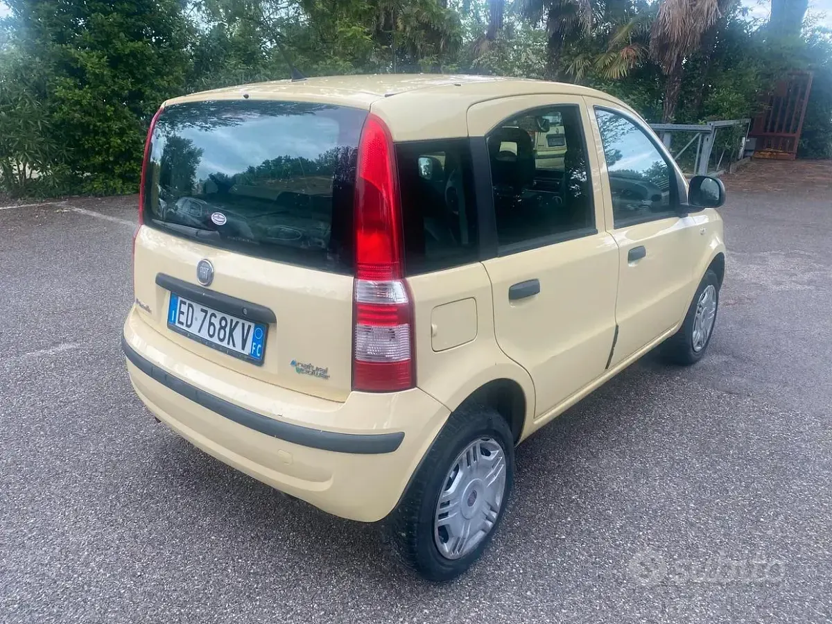 Usata Fiat Panda Dynamic 60 CV (44 kW) 2010 Giallo Utilitaria