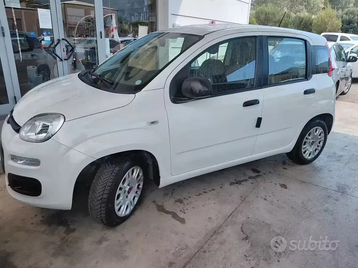 Usata Fiat Panda Easy 69 CV (50 kW) 2020 Bianco Utilitaria