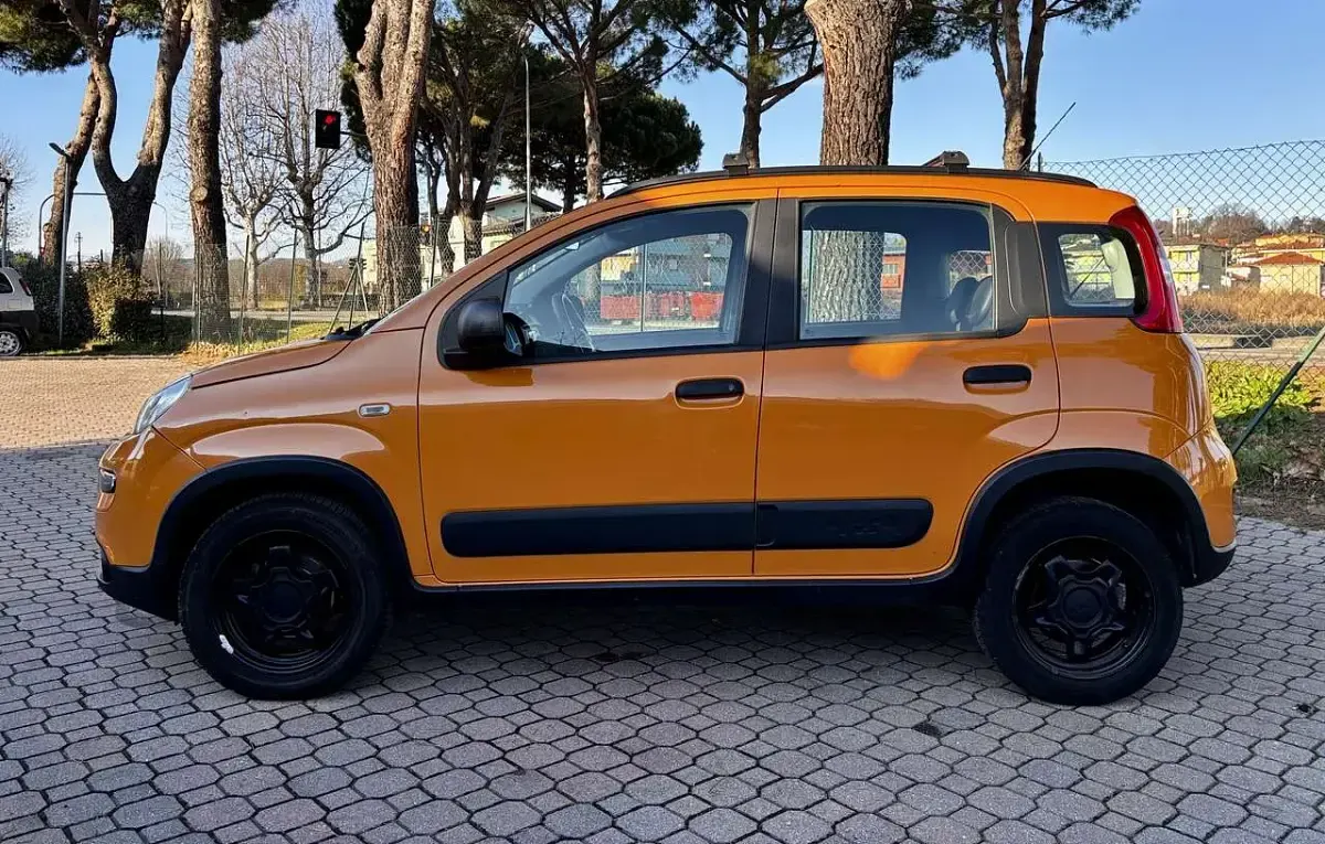Usata Fiat Panda 4x4 S 86 CV (63 kW) 2019 Arancione Utilitaria