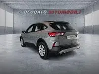Usata Ford Kuga Titanium X 150 CV (110 kW) 2024 Grigio SUV