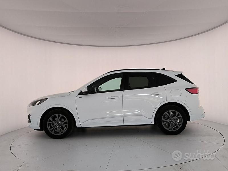 Usata Ford Kuga ST-Line 190 CV (139 kW) 2023 Bianco frozen SUV