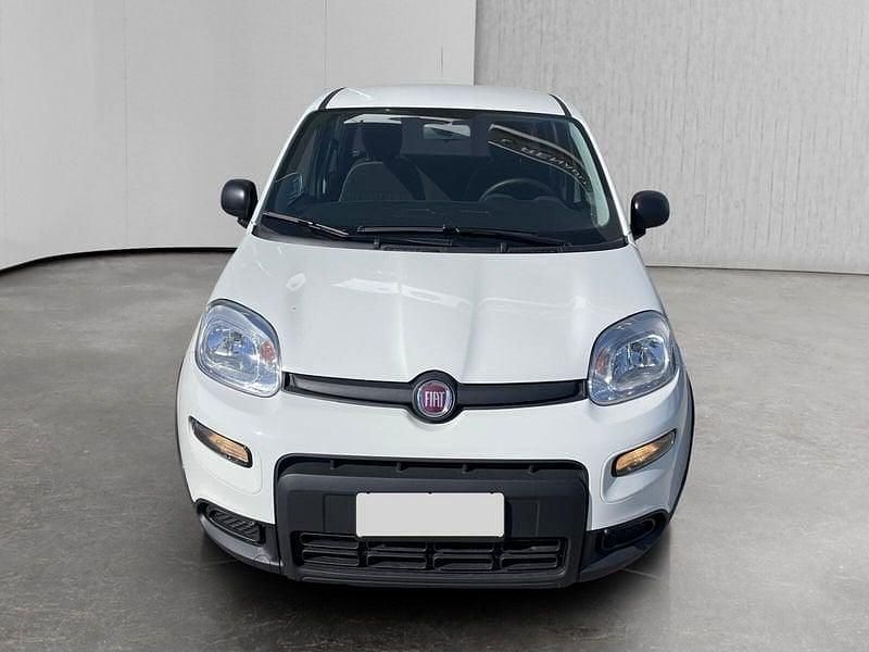 Usata Fiat Panda S 69 CV (50 kW) 2024 Bianco Berlina