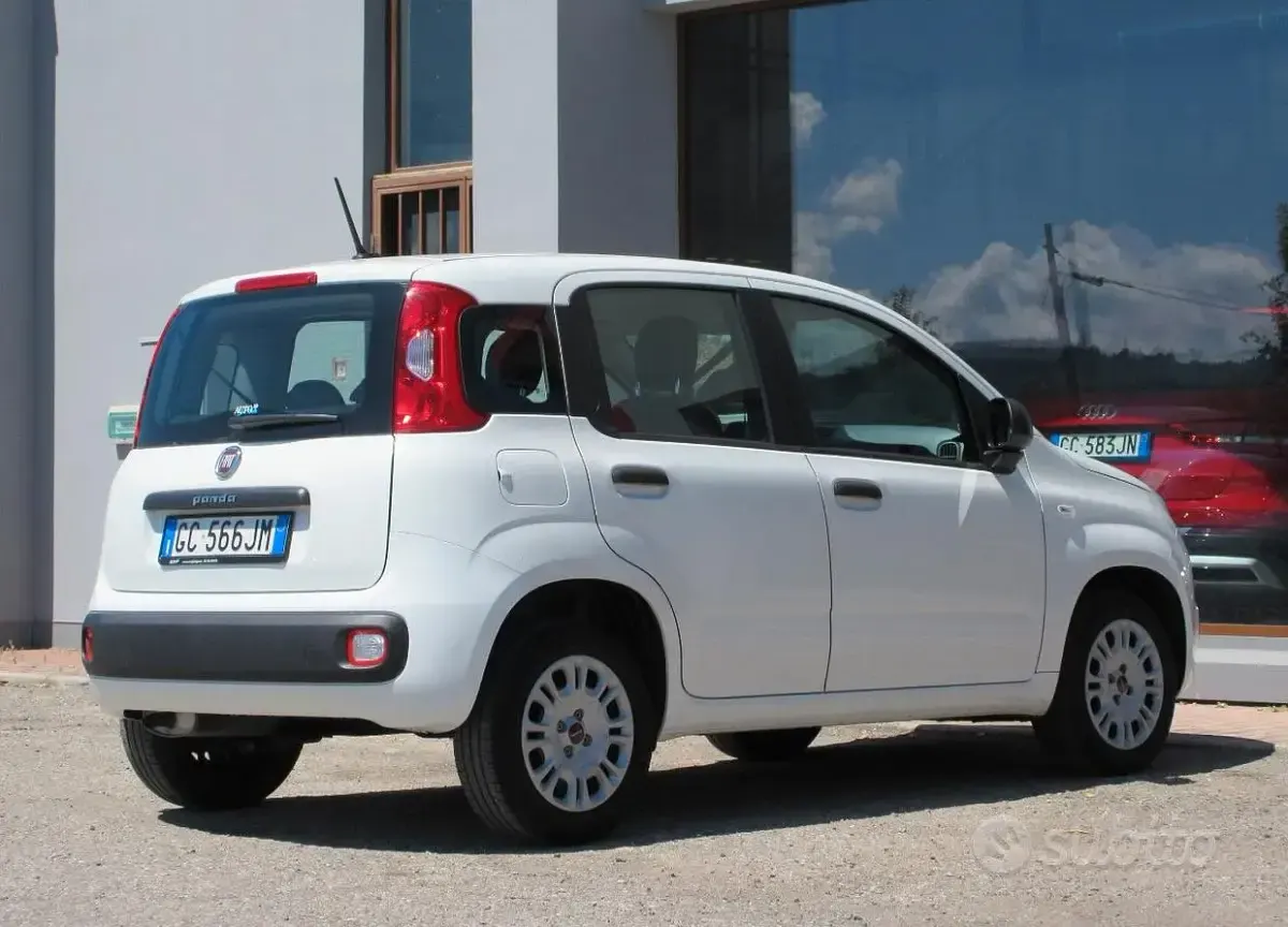 Usata Fiat Panda Easy 69 CV (50 kW) 2020 Bianco Utilitaria