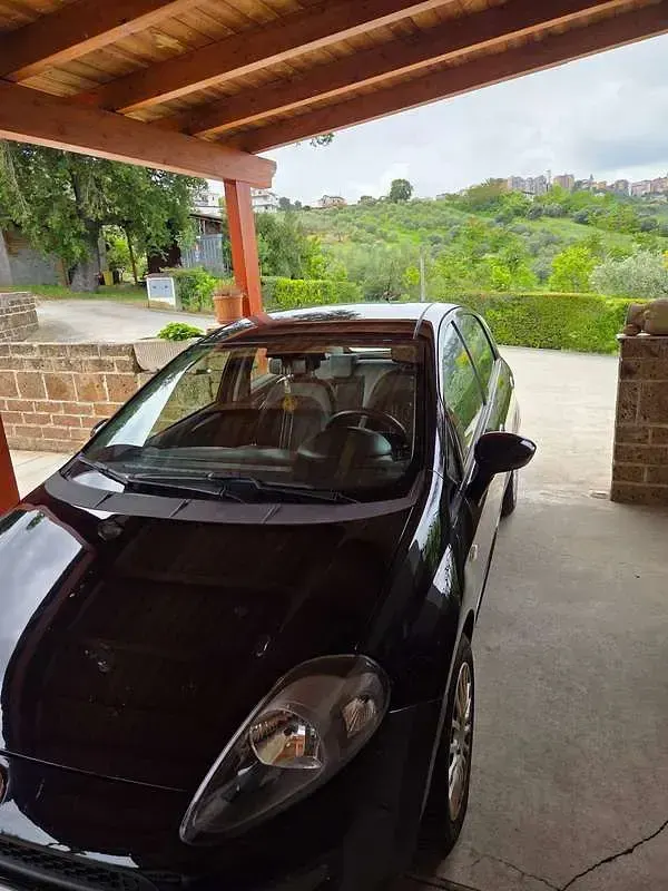 Usata Fiat Punto Easy 69 CV (50 kW) 2012 Nero Utilitaria