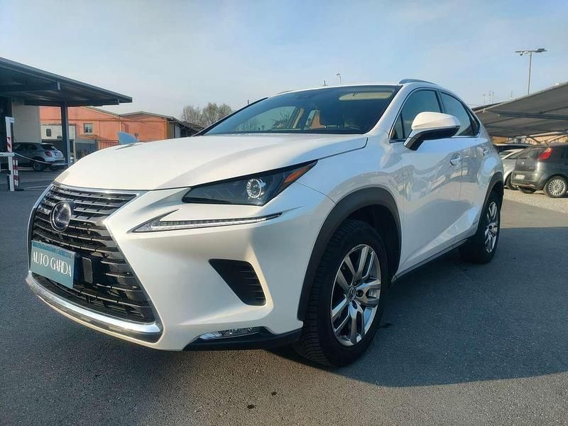 Usata Lexus NX300h Business Edition 155 CV (114 kW) 2019 Perlato SUV