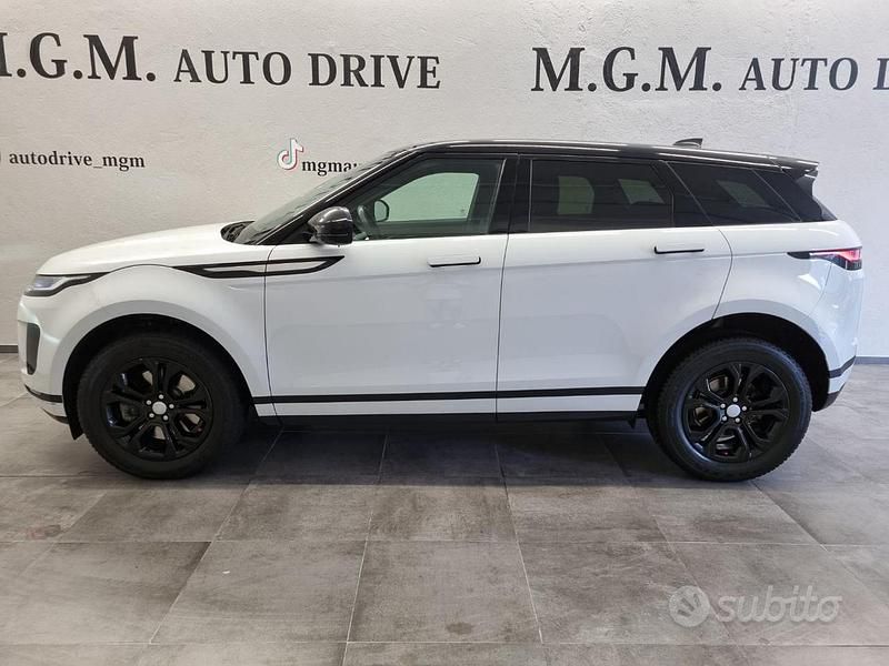 Usata Land Rover Range Rover evoque R-Dynamic 150 CV (110 kW) 2019 Bianco SUV