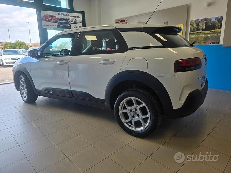 Usata Citroën C4 Cactus Shine 2020 Bianco Utilitaria