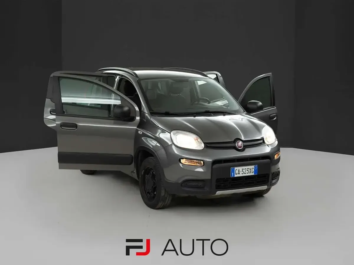 Usata Fiat Panda 4x4 S 86 CV (63 kW) 2020 Grigio maestro Utilitaria