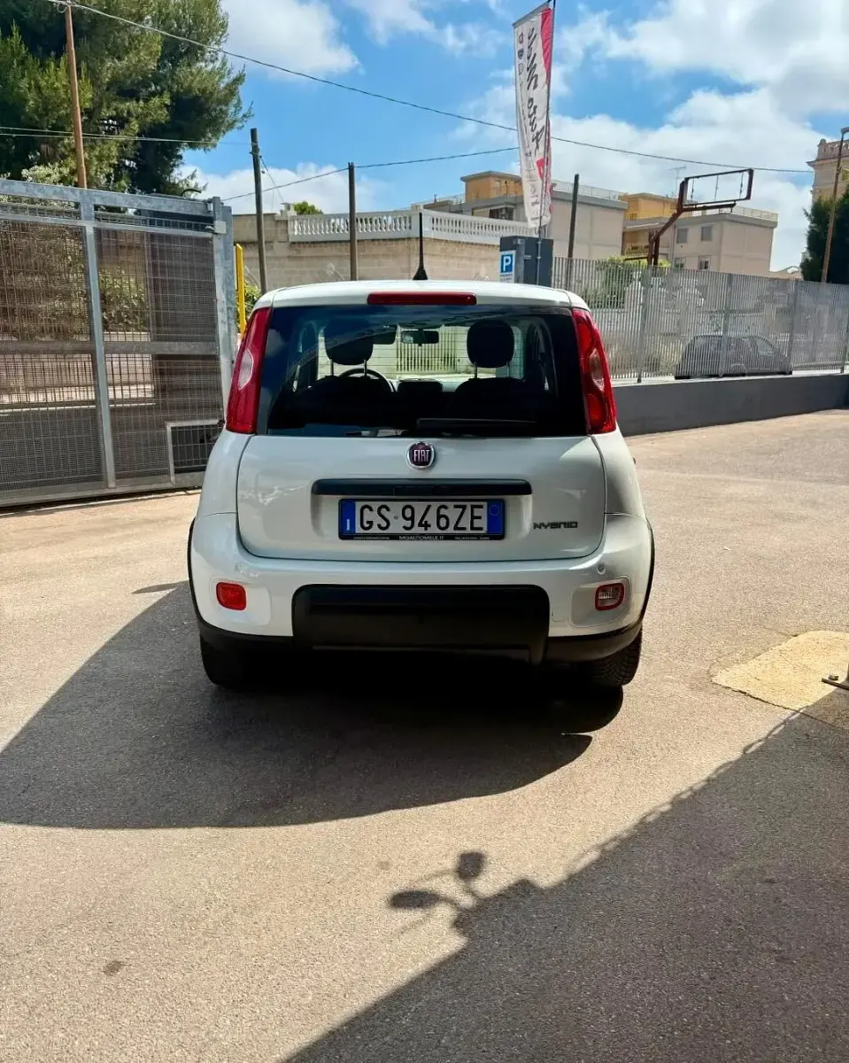 Usata Fiat Panda S 69 CV (50 kW) 2024 Bianco Utilitaria