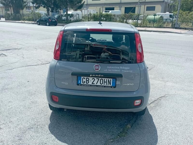 Usata Fiat Panda Easy 71 CV (52 kW) 2020 Grigio Utilitaria