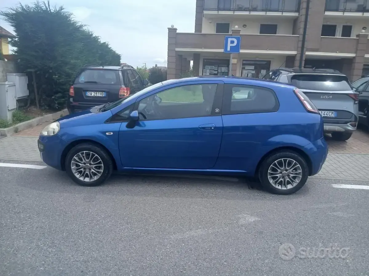 Usata Fiat Punto Evo S 69 CV (50 kW) 2011 Bluazzurro Utilitaria