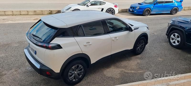 Usata Peugeot 2008 Allure 110 CV (80 kW) 2021 Bianco SUV