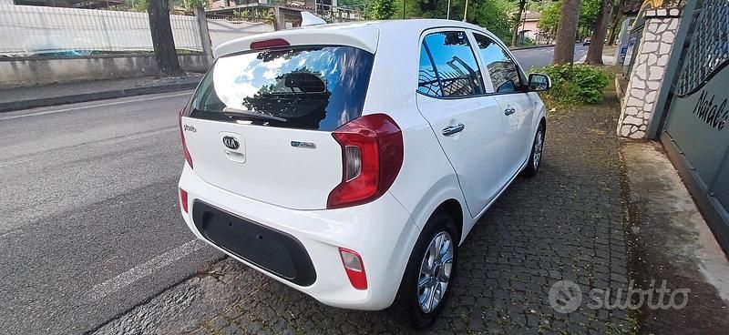 Usata Kia Picanto 2020 Bianco Utilitaria