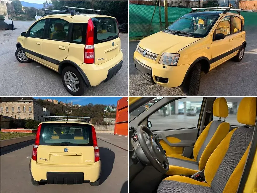 Usata Fiat Panda 4x4 Climbing 60 CV (44 kW) 2005 Utilitaria