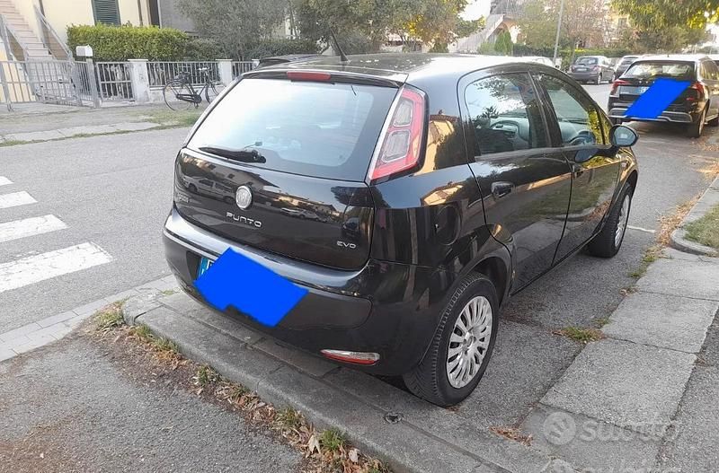 Usata Fiat Punto 75 CV (55 kW) 2012 Berlina