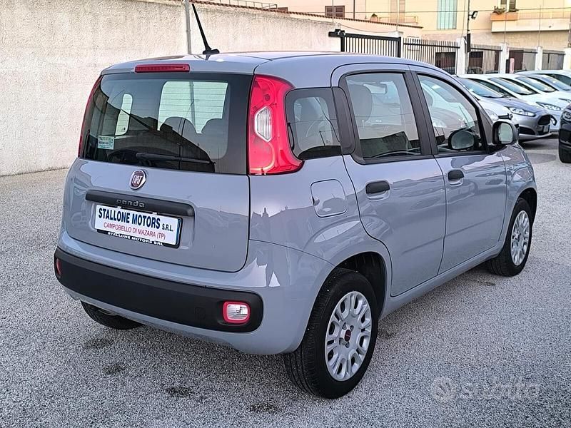 Usata Fiat Panda Easy 69 CV (50 kW) 2020 Grigio Utilitaria