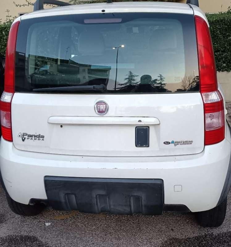 Usata Fiat Panda 52 CV (38 kW) 2008 Bianco Utilitaria