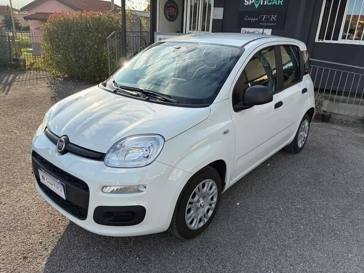 Usata Fiat Panda Icon 65 CV (47 kW) 2025 Bianco Utilitaria