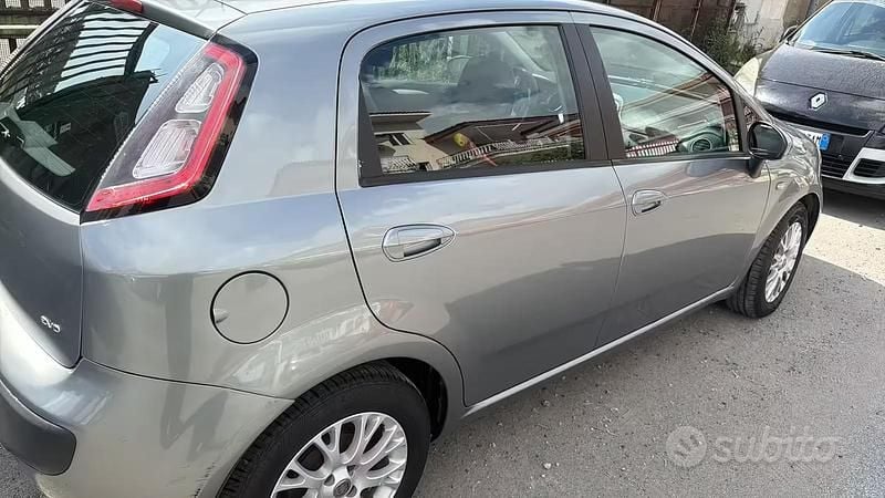 Usata Fiat Punto Evo 95 CV (69 kW) 2011 Grigio Utilitaria