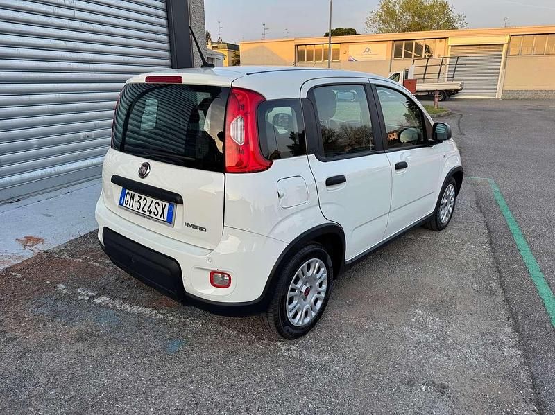 Usata Fiat Panda City Life 69 CV (50 kW) 2023 Bianco Utilitaria