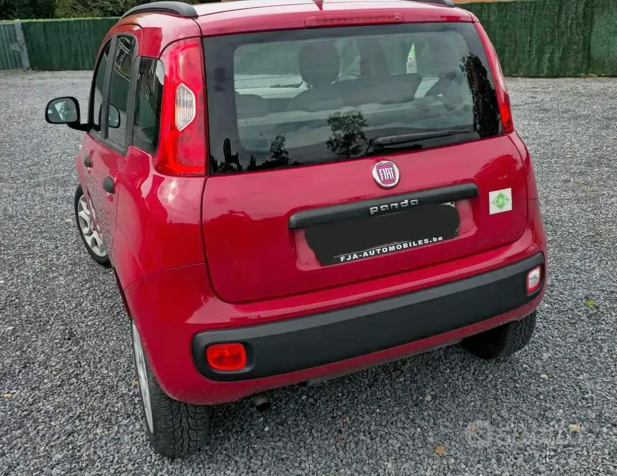 Usata Fiat Panda Cross 70 CV (51 kW) 2013 Rosso Utilitaria