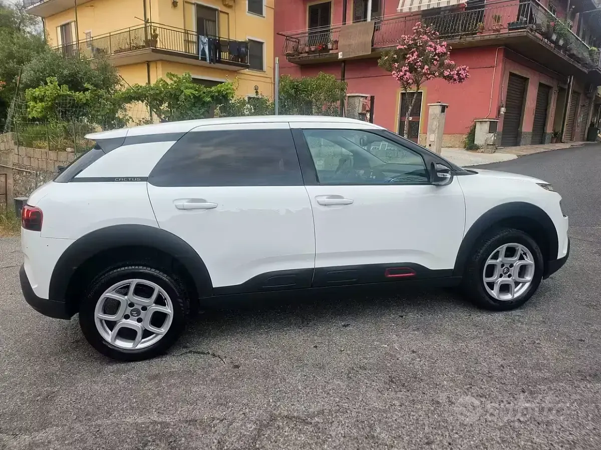 Usata Citroën C4 Cactus 102 CV (75 kW) 2020 Bianco Utilitaria