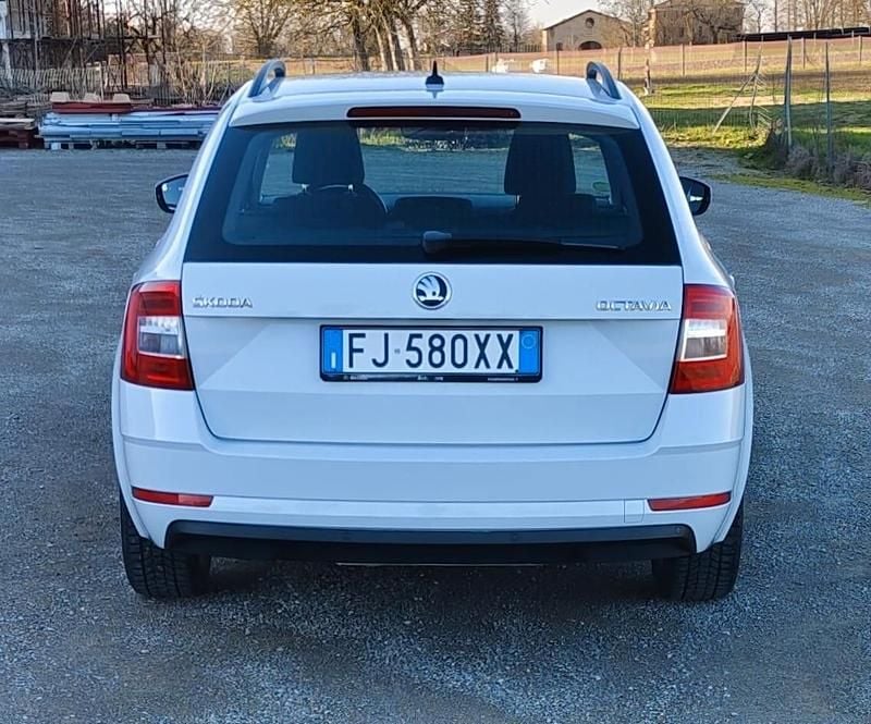 Usata Skoda Octavia Executive 116 CV (85 kW) 2017 Bianco Station wagon