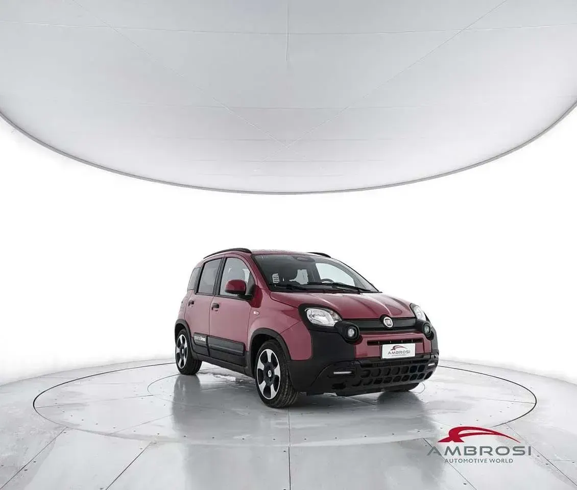 Usata Fiat Panda Cross Cross 69 CV (50 kW) 2025 Rosso Utilitaria