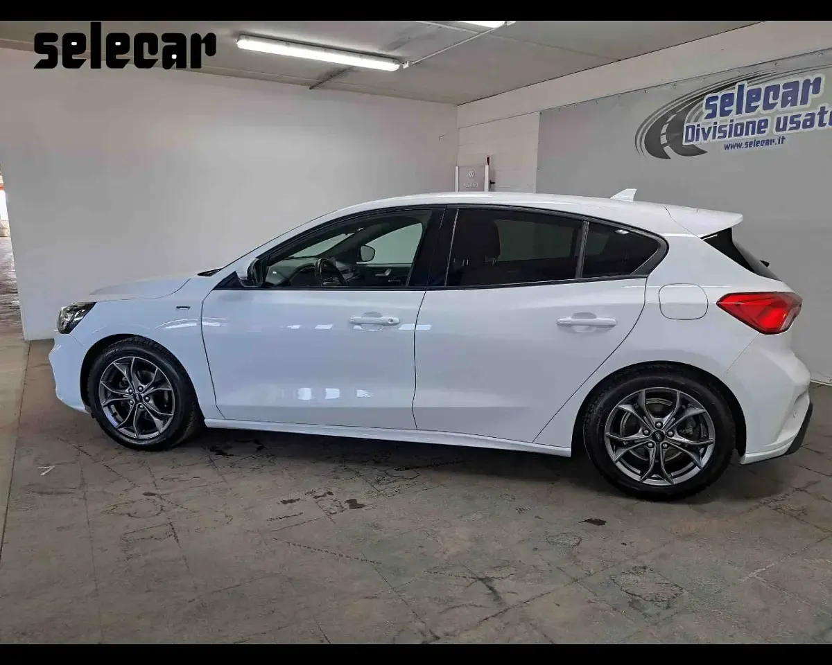 Usata Ford Focus ST-Line 125 CV (91 kW) 2019 Bianco Berlina