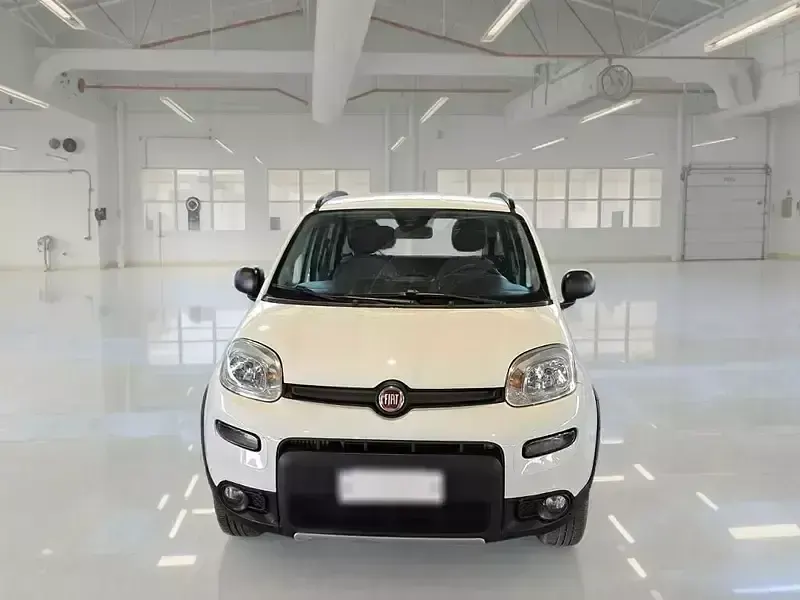 Usata Fiat Panda 4x4 Wild 85 CV (62 kW) 2022 Utilitaria