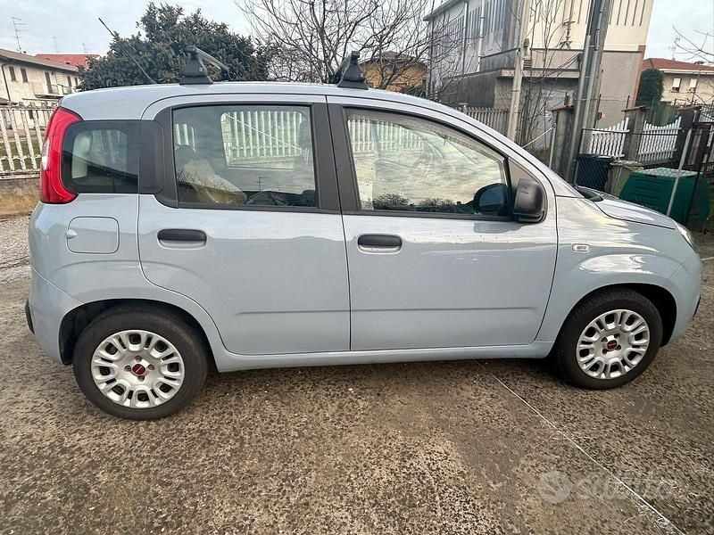 Usata Fiat Panda 60 CV (44 kW) 2019 Berlina