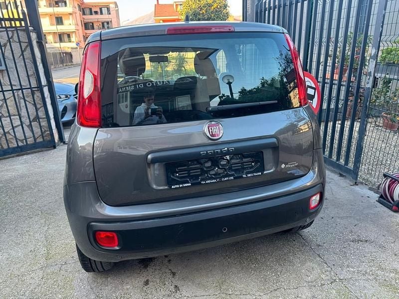 Usata Fiat Panda Lounge 69 CV (50 kW) 2020 Grigio Utilitaria