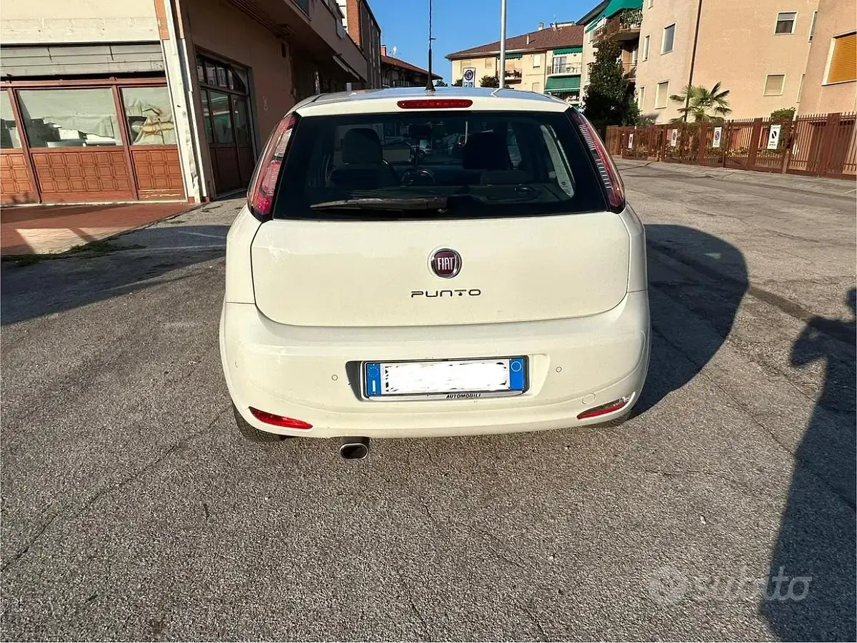 Usata Fiat Punto Easy 77 CV (56 kW) 2014 Bianco Utilitaria