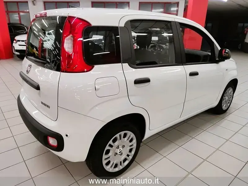 Nuevo Fiat Panda 69 CV (50 kW) 2025 Blanco Utilitario