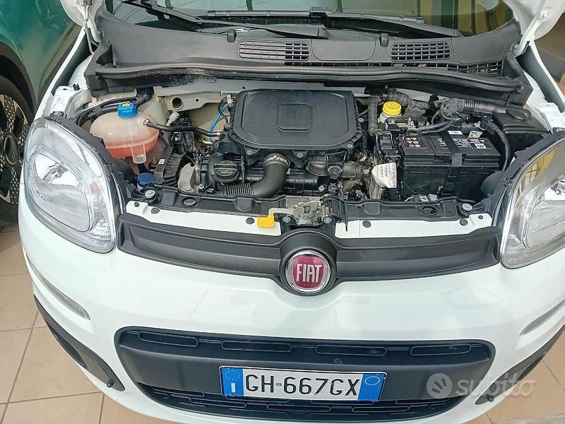 Usata Fiat Panda S 69 CV (50 kW) 2021 Bianco Utilitaria
