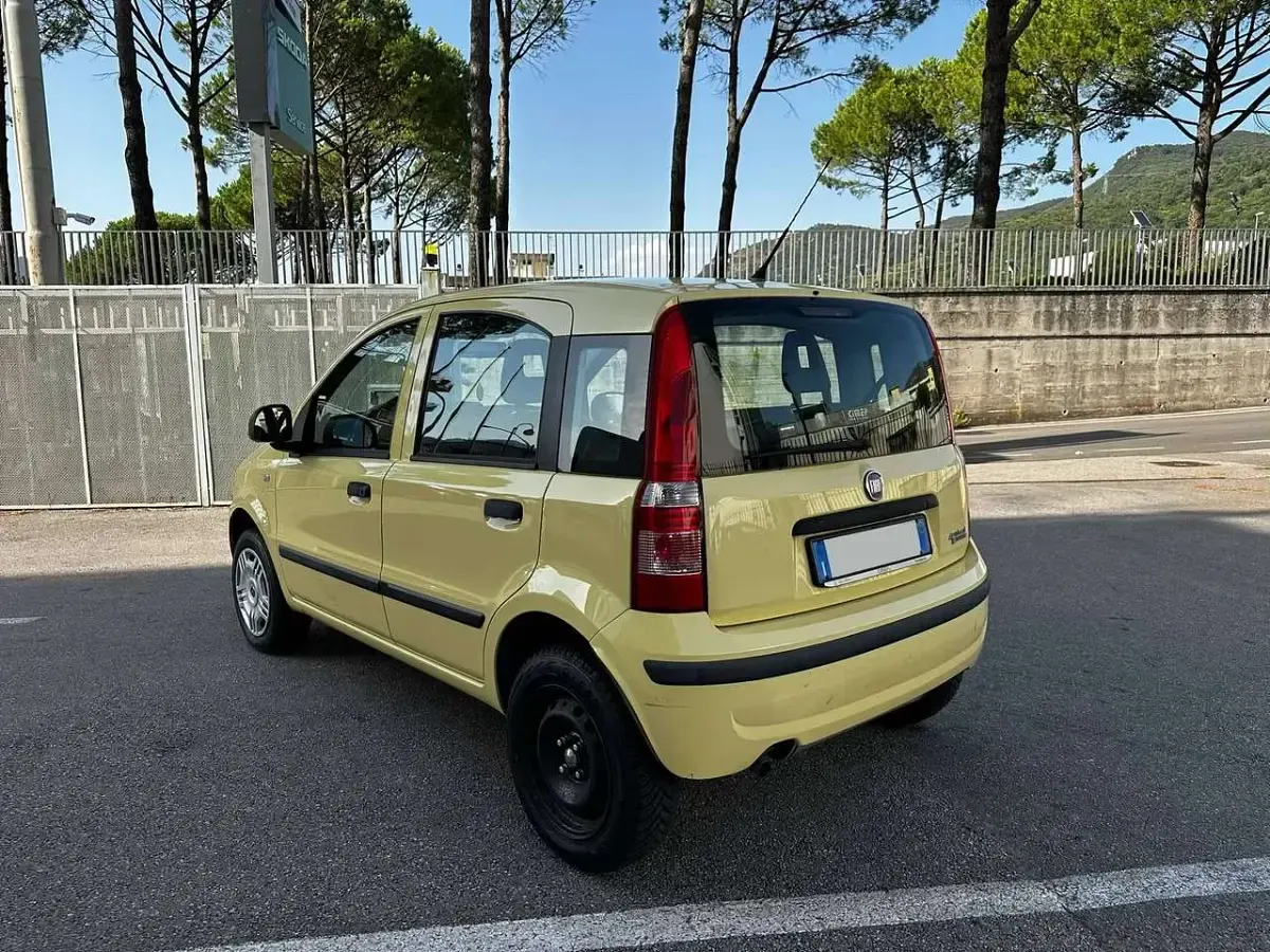 Usata Fiat Panda Classica 77 CV (56 kW) 2017 Giallo Utilitaria