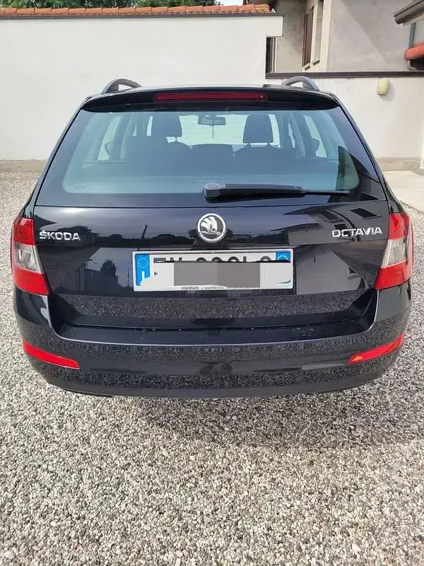 Usata Skoda Octavia Active 105 CV (77 kW) 2014 Station wagon