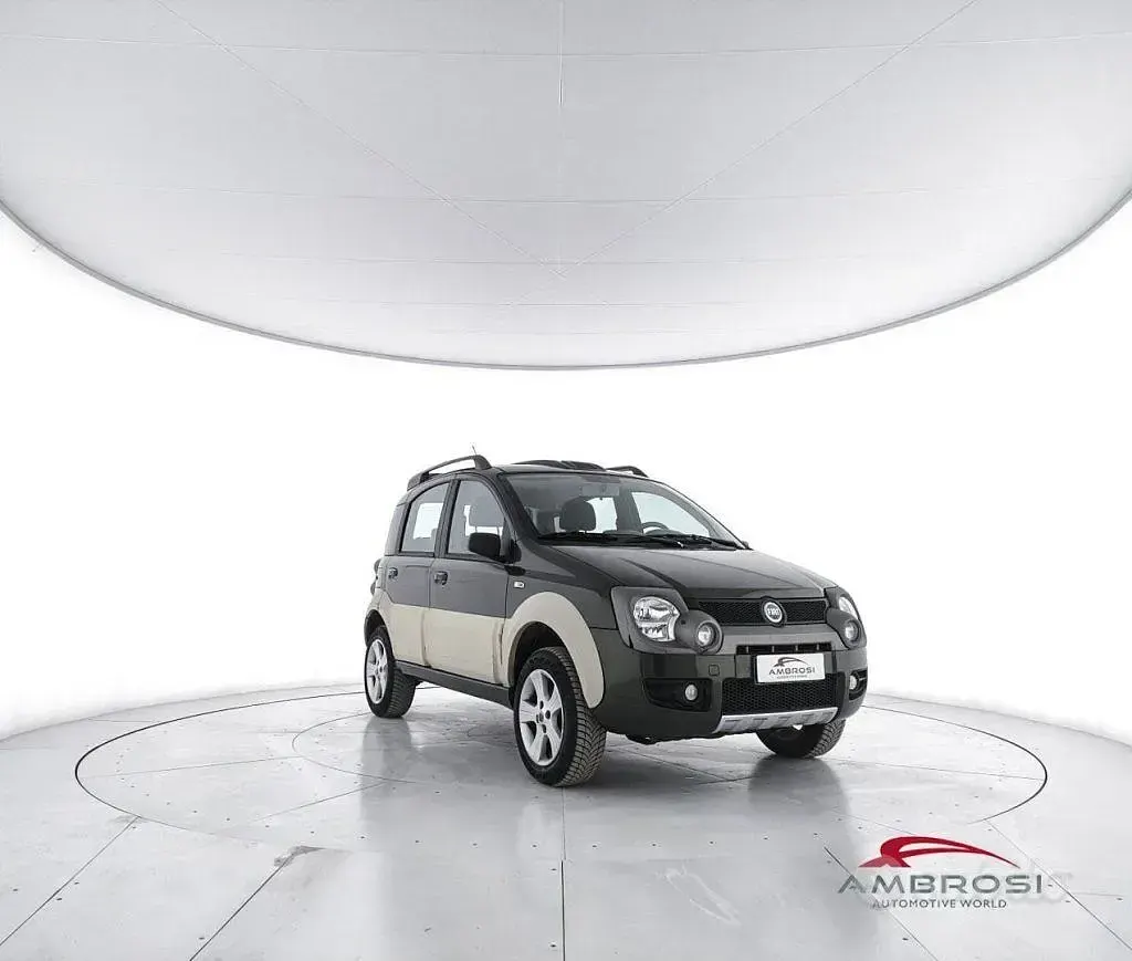 Usado Fiat Panda 4x4 Cross 69 CV (50 kW) 2006 Verde Utilitario