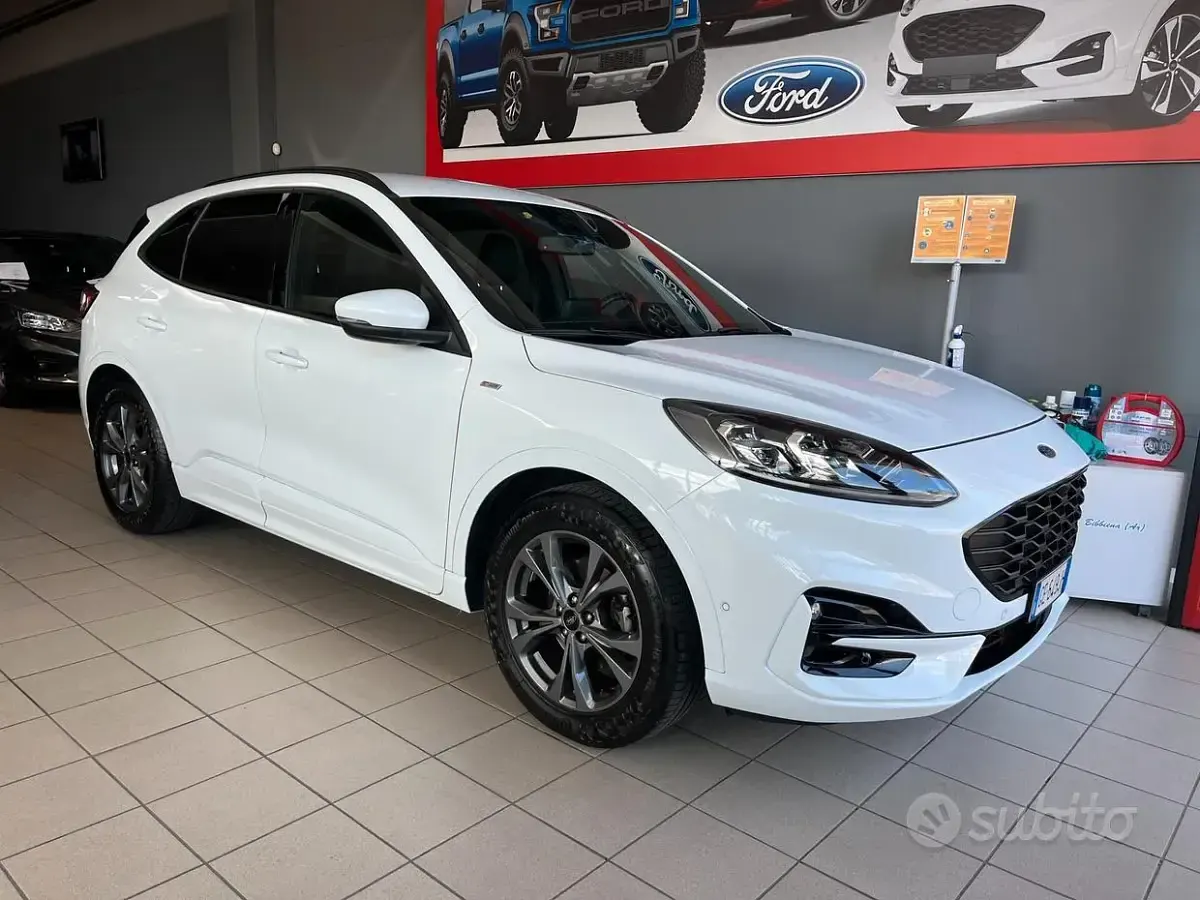 Usata Ford Kuga ST-Line X 120 CV (88 kW) 2021 Bianco SUV